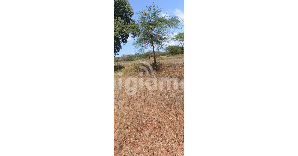 Several Parcels In Ekalakala Matuu Masinga Dam Are For Sale in Machakos PigiaMe