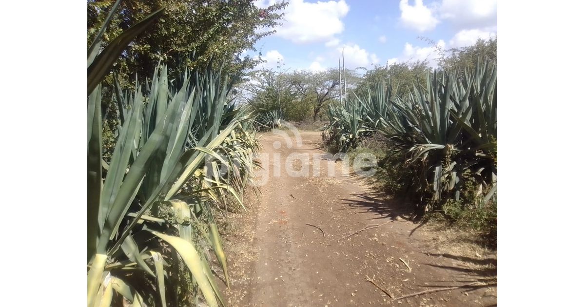 3 Acres Available For Sale In Masinga Dam Ekalakala in Machakos PigiaMe
