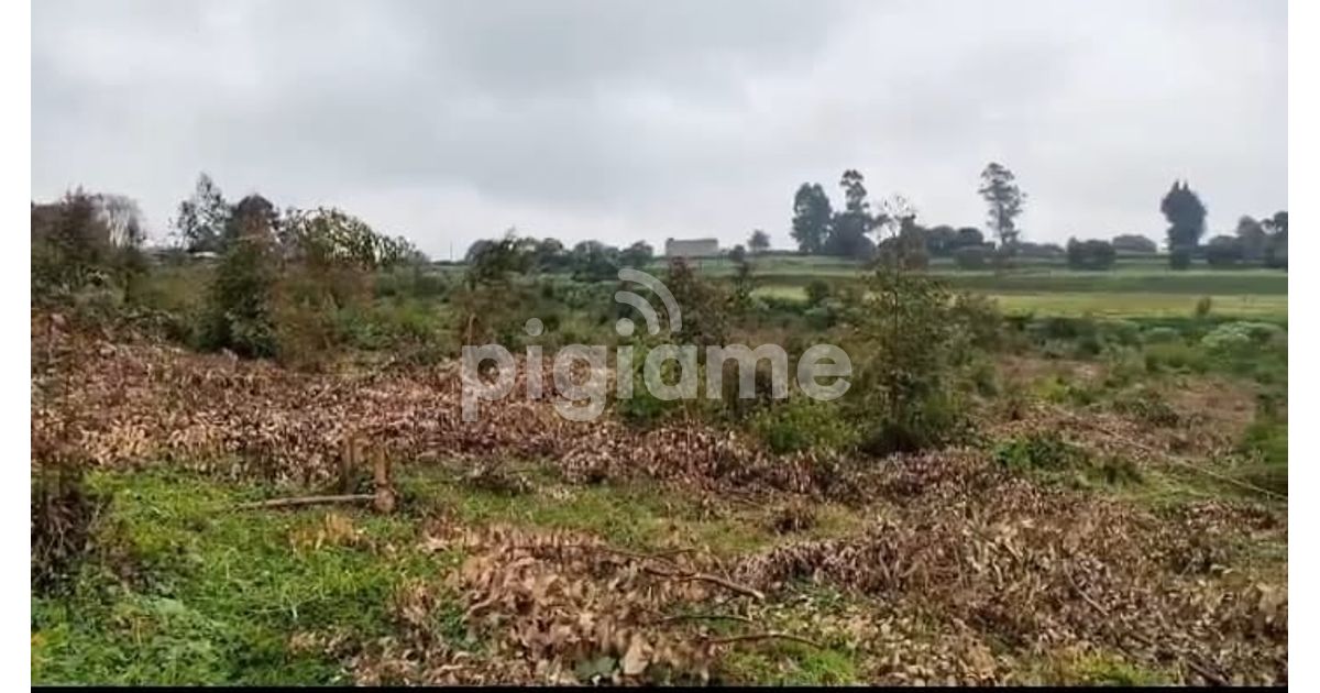 Riara Ridge 25 Ac Land At Riara Ridge in Kiambu | PigiaMe