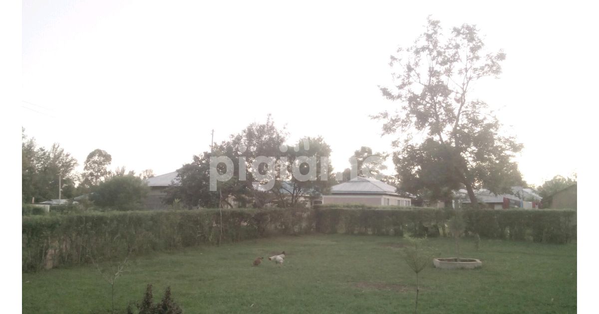 Plot For Sale in Busia PigiaMe