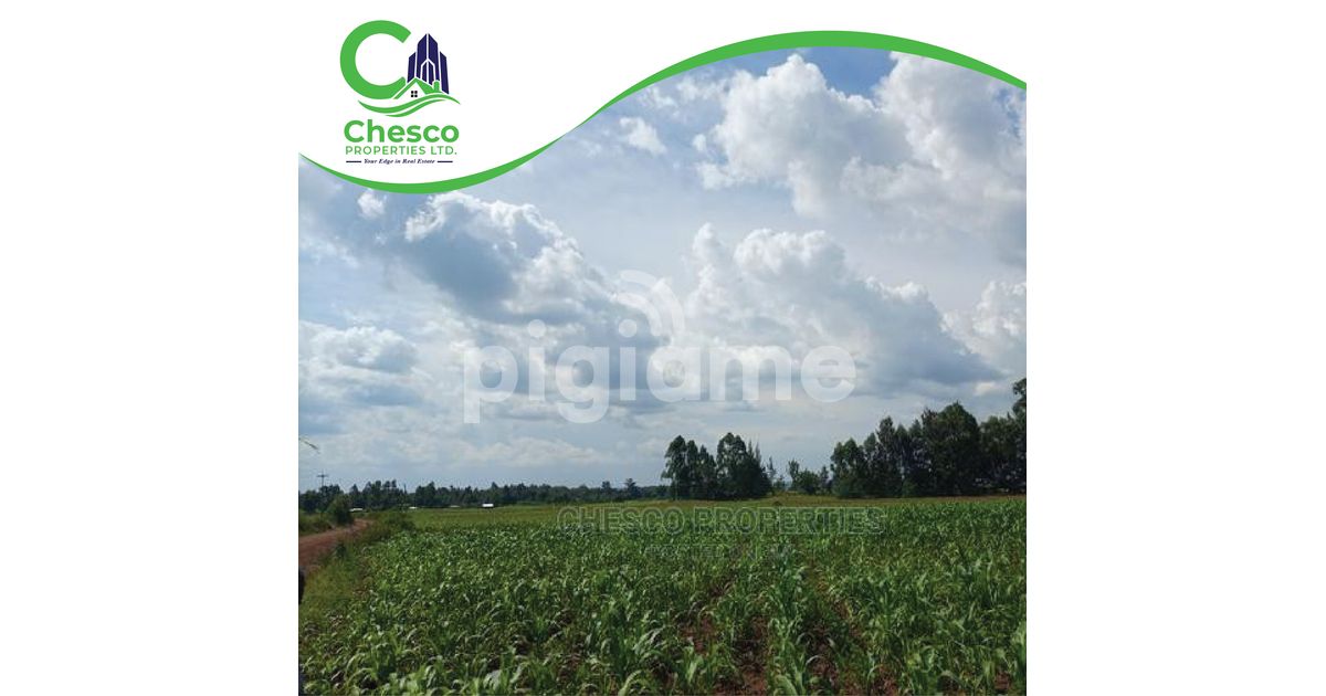 29 Acres For Sell Harambee Kakamega County in Kakamega PigiaMe