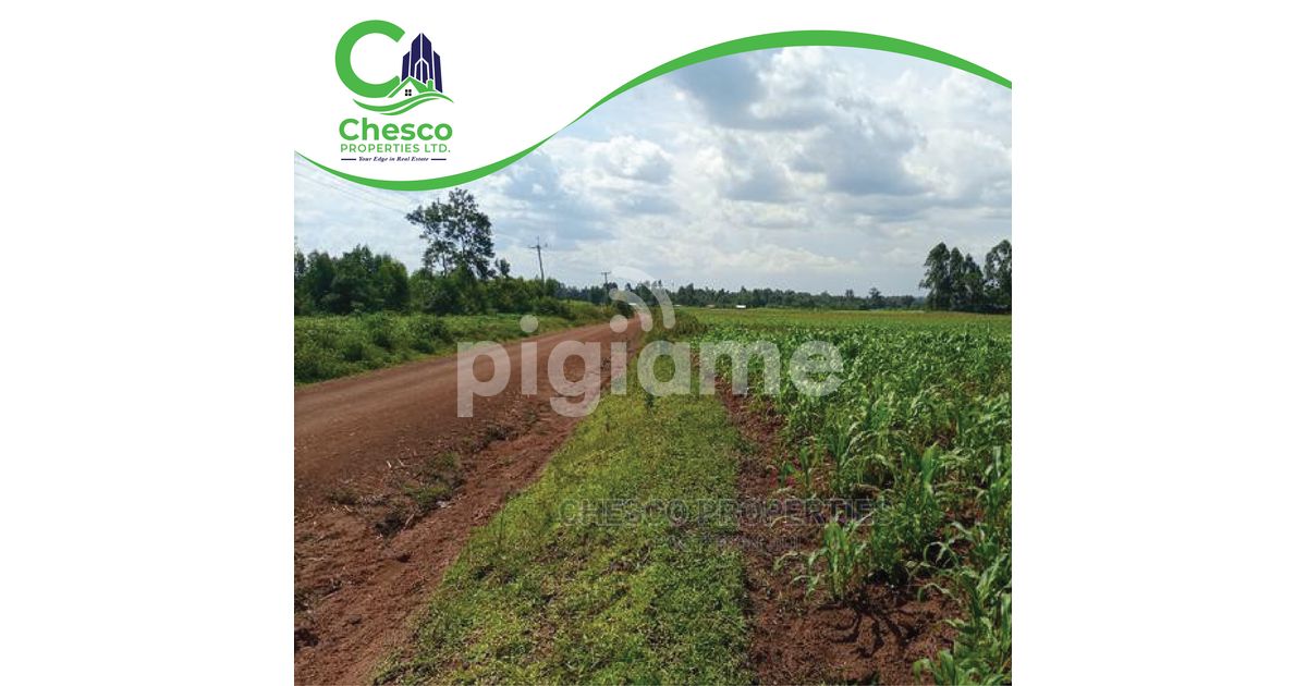 29 Acres For Sell Harambee Kakamega County in Kakamega PigiaMe