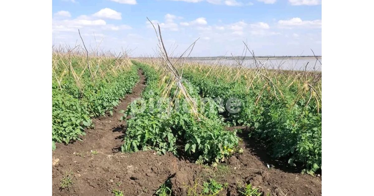 20 Acres Or More Is For Sale In Masinga Dam And Thika River in Machakos PigiaMe