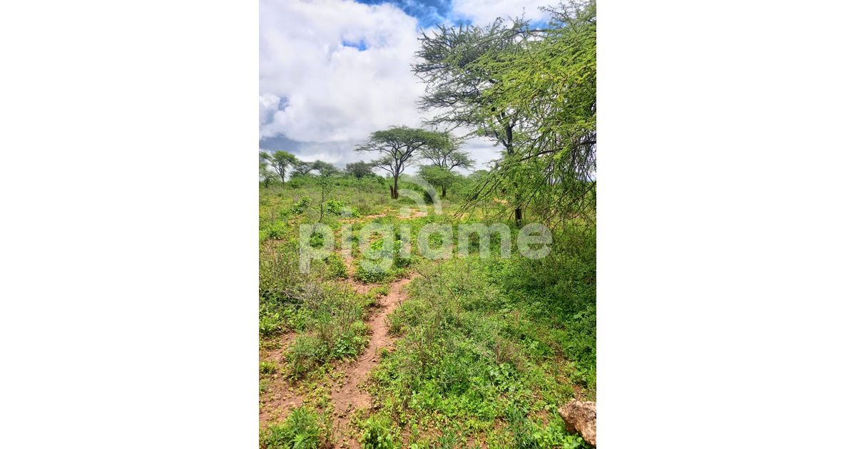 40 Acres Agricultural Land Is For Sale In Masinga Kithyoko in Machakos PigiaMe