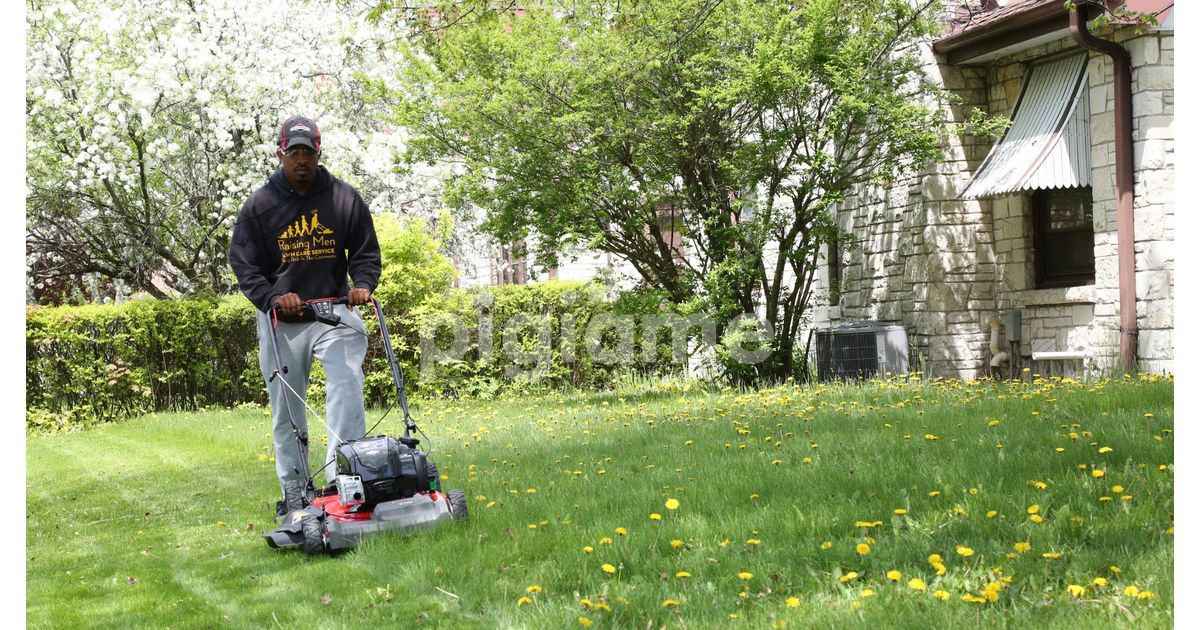 Lawn Mowers Repairs In Nairobi in Muthaiga PigiaMe