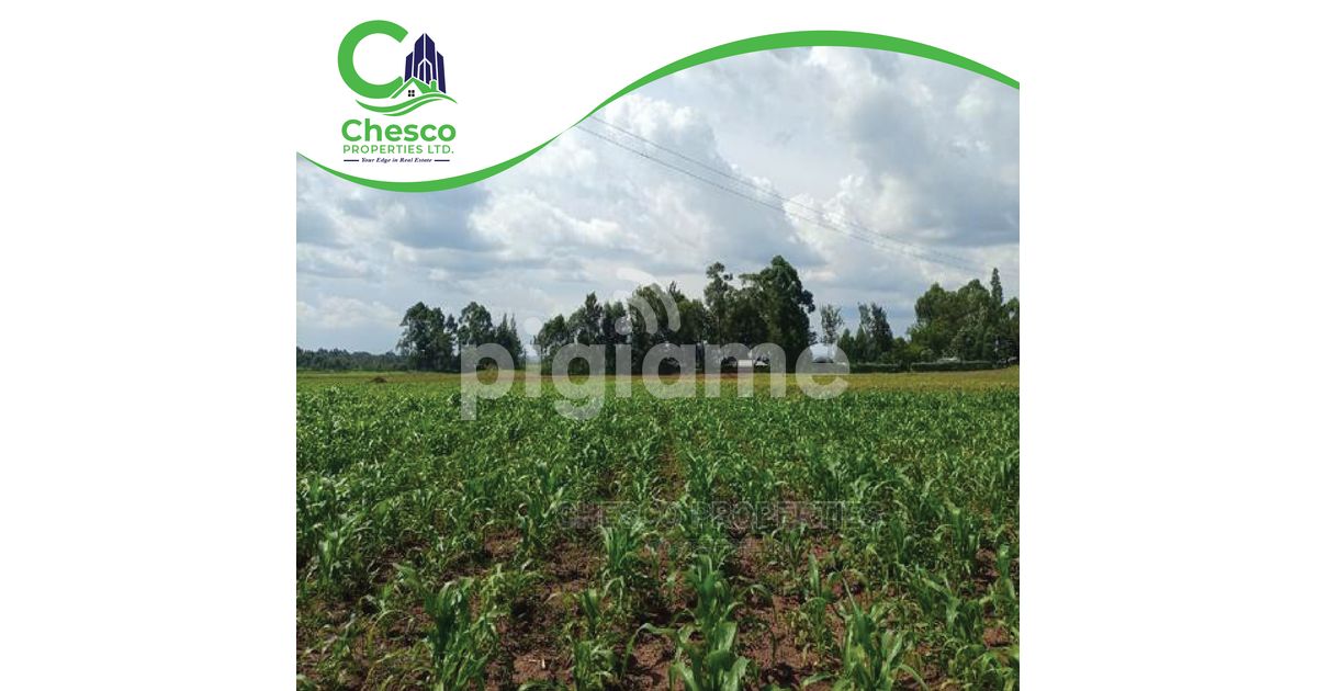 29 Acres For Sell Harambee Kakamega County in Kakamega PigiaMe