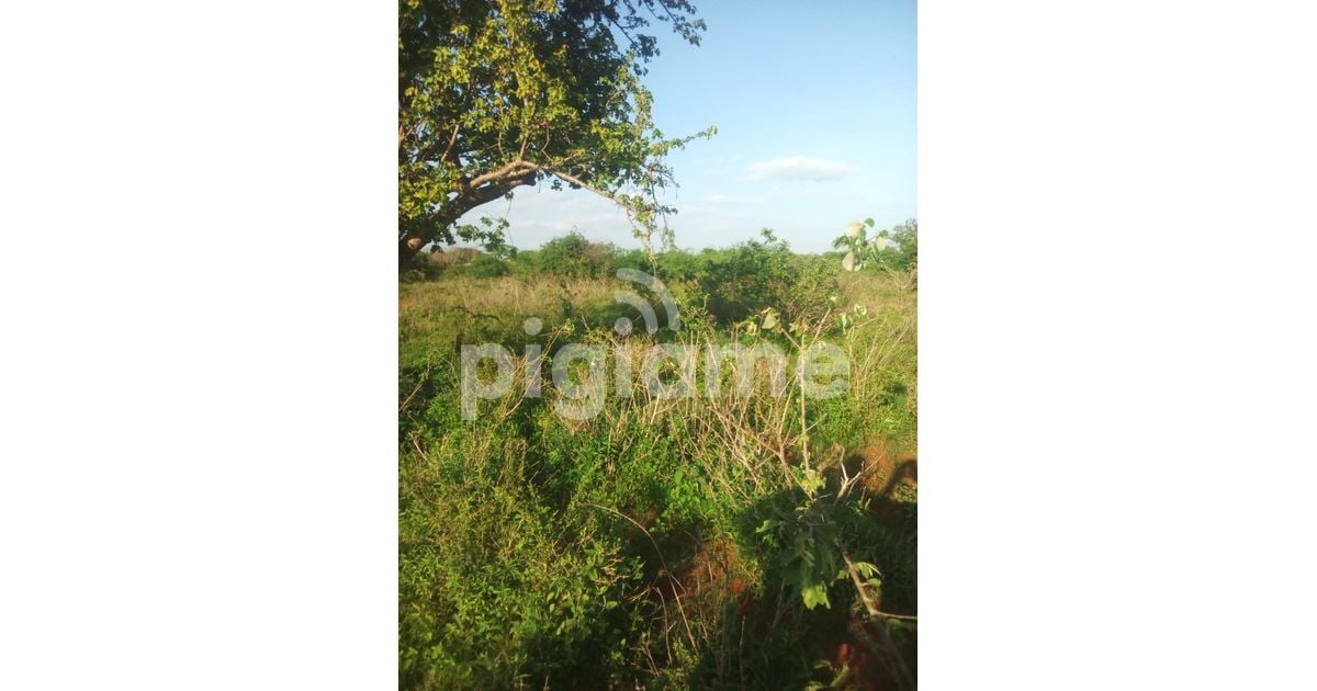 1500 Acres Available For Sale In Kitui Mutha Region in Kitui PigiaMe