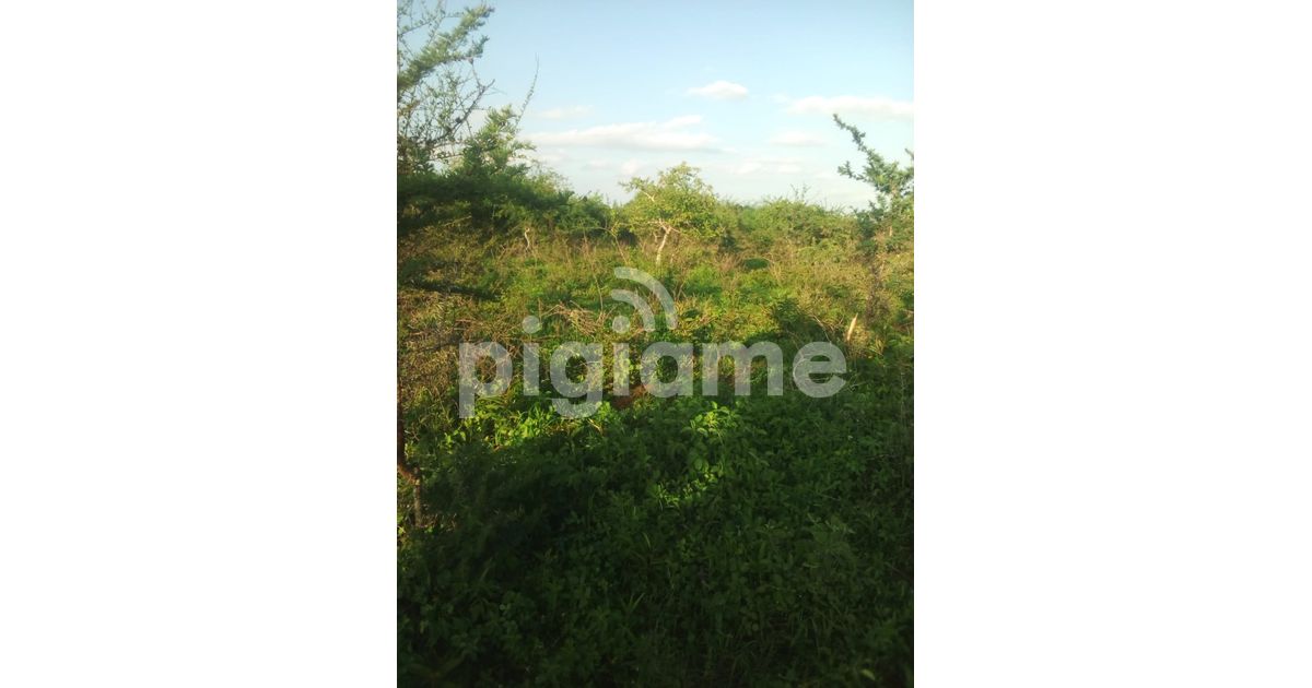 50 Acres Is Available For Sale In Mutha Kitui County in Kitui PigiaMe