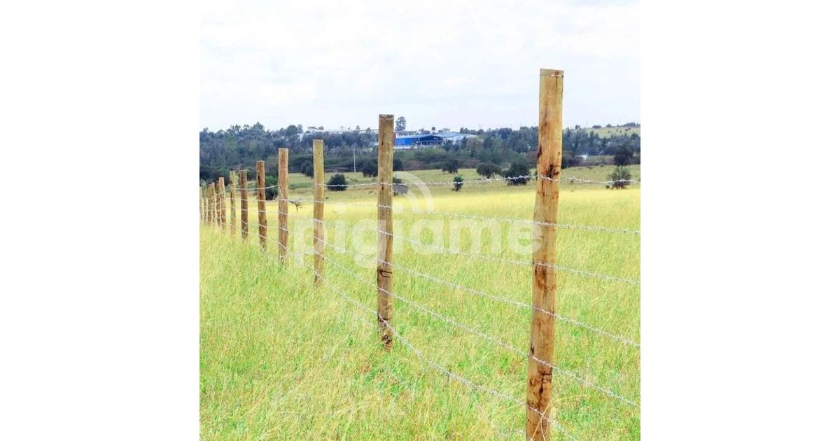 Kitengela Lenchabi Plots For Sale. in Nairobi PigiaMe