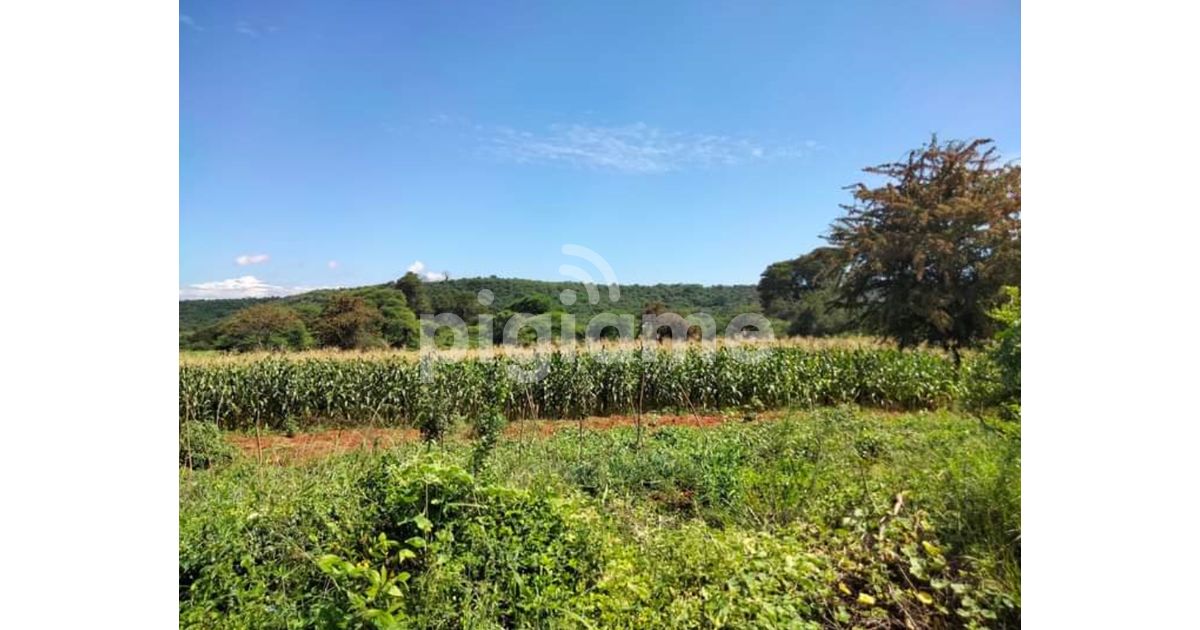 20 Acres Or More Is For Sale In Masinga Dam And Thika River in Machakos PigiaMe