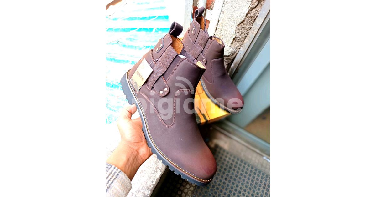Carhartt cms4100 shop