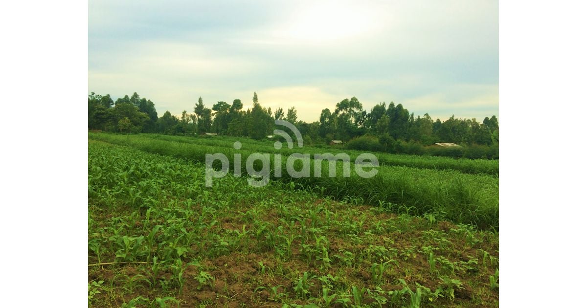 Quarter An Acre For Sale At Luucho Bungoma in Bungoma PigiaMe