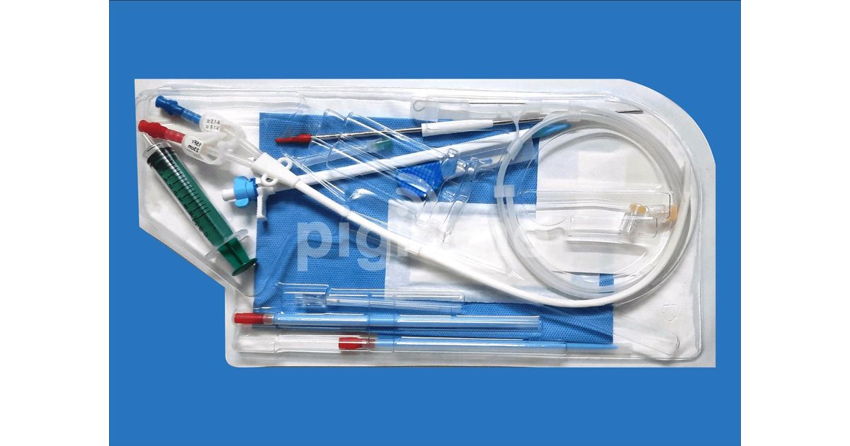 Indwelling Hemodialysis Dialysis Catheter Prices In Kenya in Nairobi CBD PigiaMe