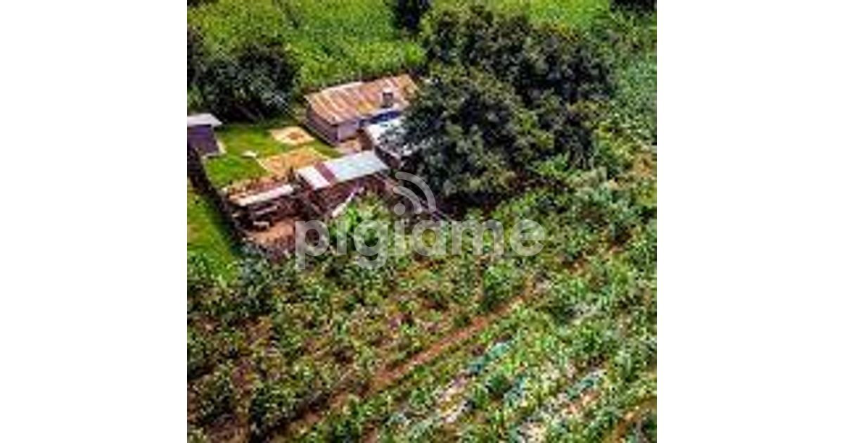 Kitale Waitaluk 96 Acres For Sale in Trans Nzoia PigiaMe