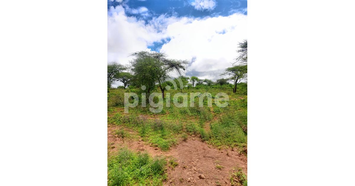 40 Acres Agricultural Land Is For Sale In Masinga Kithyoko in Machakos PigiaMe