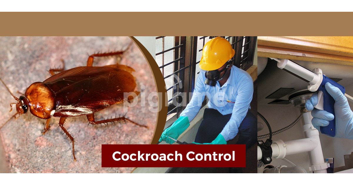 Bed Bugs Fumigation Ruaka,Juja,Ngong,Thika,Kabete in Githurai PigiaMe