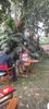 KICKOUT RIDES LIMITED