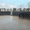 350sqm furnished penthouse for rent @ bole thumb 13