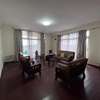Furnished Penthouse For Rent in Bole thumb 2