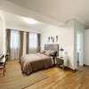 2 bedroom luxurious furnished apartment Bole thumb 2