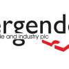ERGENDO TRADE AND INDUSTRY PLC thumb 0