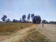 Land for sale in arsi robe (አርሲ ሮቤ )