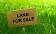 713 Sqm Land For Sale (Lideta)