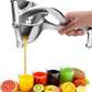 Manual Hand Press Fruit Juicer