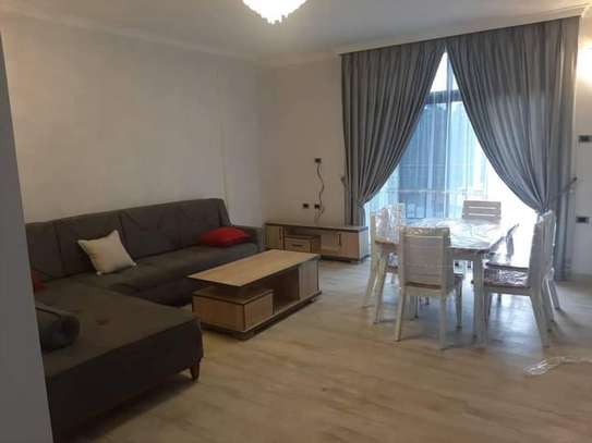 Furnished apartment for rent near to Africa Union HQ image 6