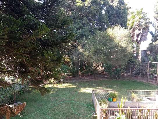 Rent a small house, big garden with mature trees! image 3