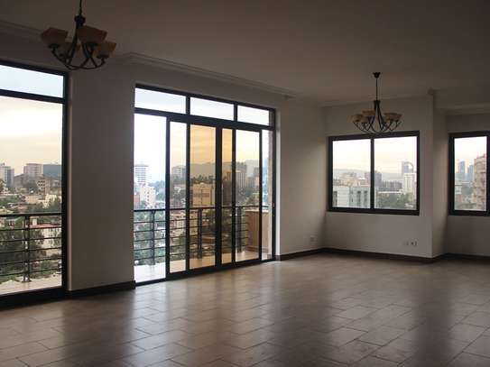 Luxury Apartment for rent in Kazanchis close to UN EE 116 image 1