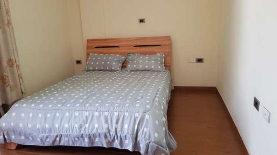 2 bedroom furnished apartment for rent image 9