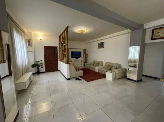 160sqm Furnished apartment for rent @ Kazanchis image 11