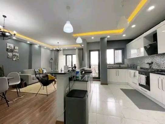 Spacious & New Furnished Apt For Rent  @ Bole image 1