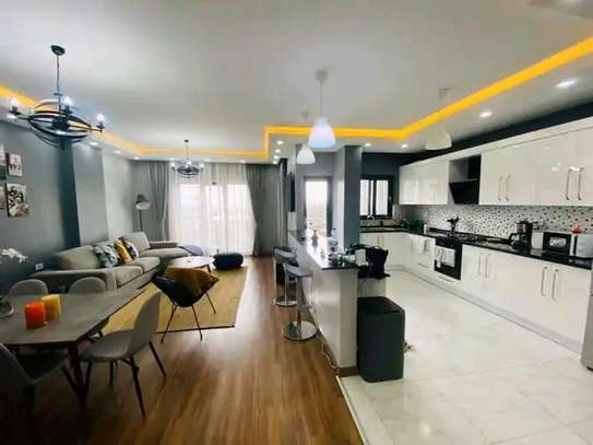 Spacious & New Furnished Apt For Rent  @ Bole image 5