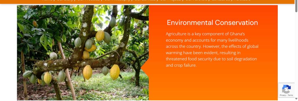 Dizengoff Ghana Ltd. banner