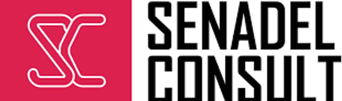 Senadel Consult banner