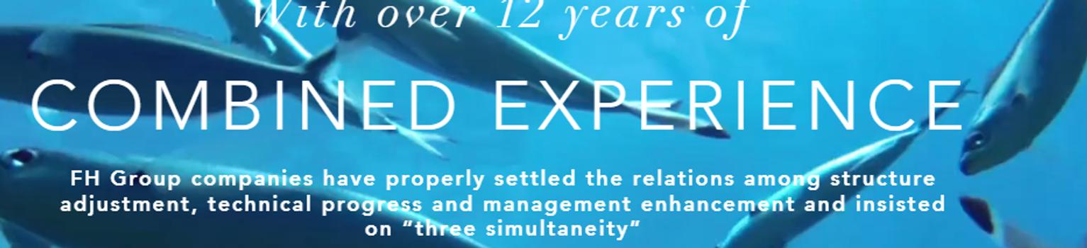 Banner for the company