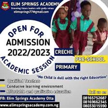 Elite Springs Academy banner
