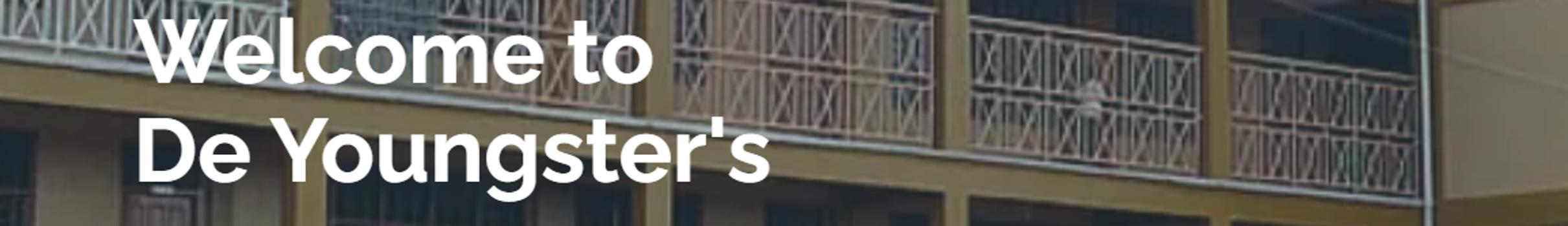 De Youngster's International School banner