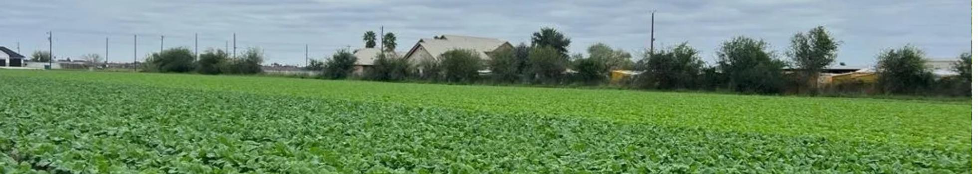 KB FARMS banner