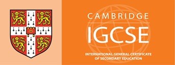 Banner for the company