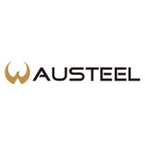 Austeel Ghana Ltd's Logo