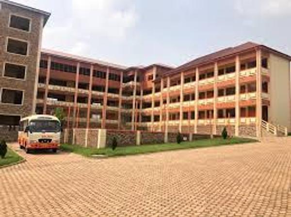 Company Image