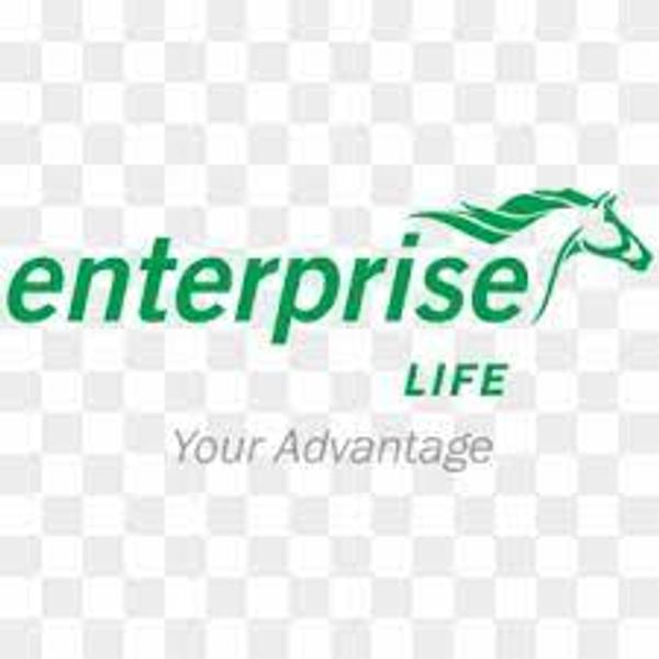 Enterprise Group's Logo