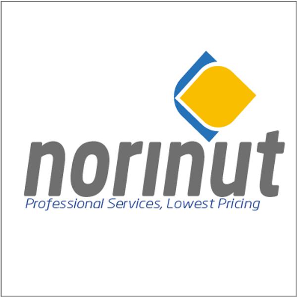 NORINUT BUSINESS CENTRE's Logo
