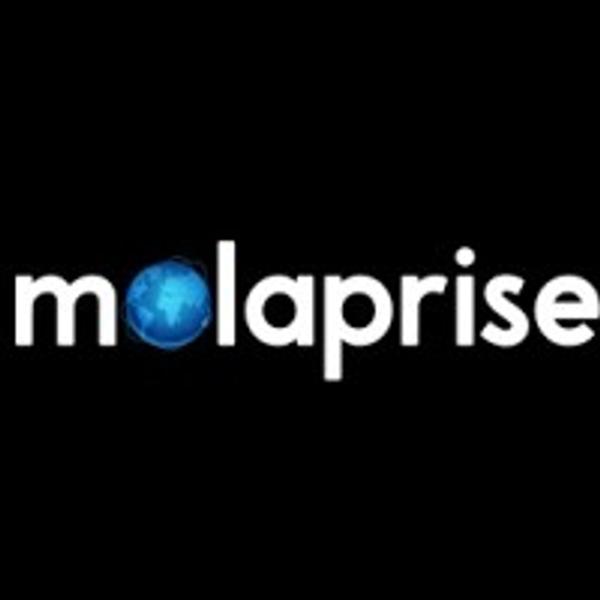 Molaprise Africa Ltd's Logo
