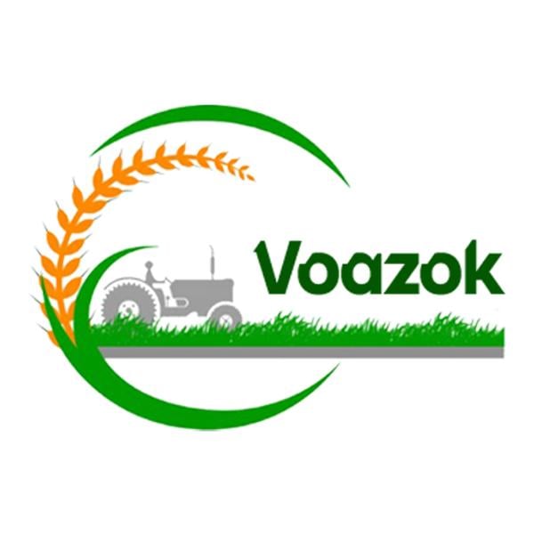 Voazok Tours's Logo