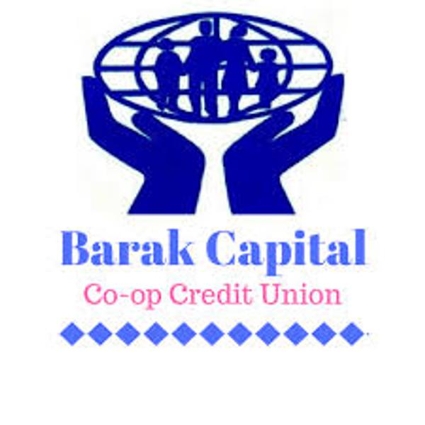 BARAK INVESTMENT LIMITED's Logo