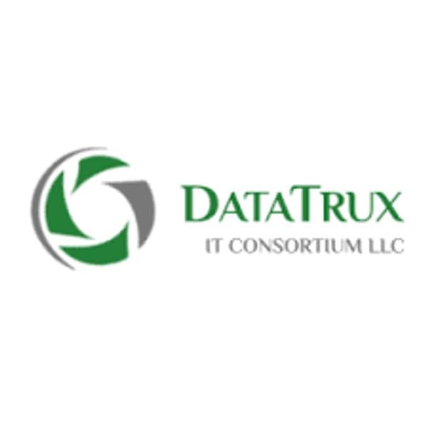 DataTrux IT Consortium LLC's Logo
